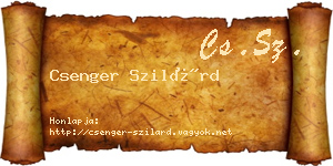 Csenger Szilárd névjegykártya